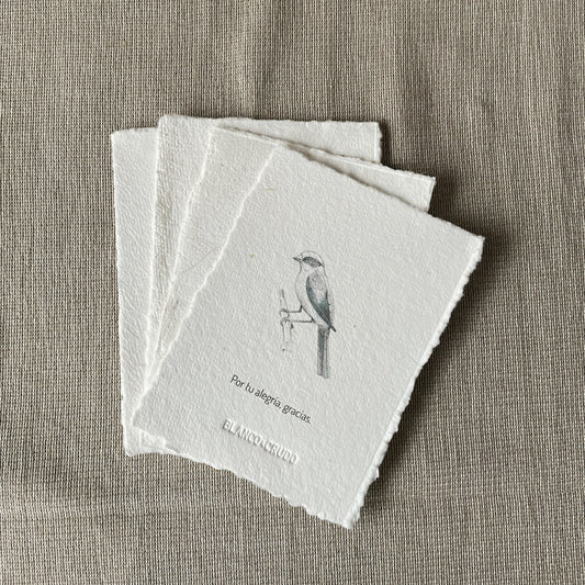 Set tarjetas de agradecimiento x5