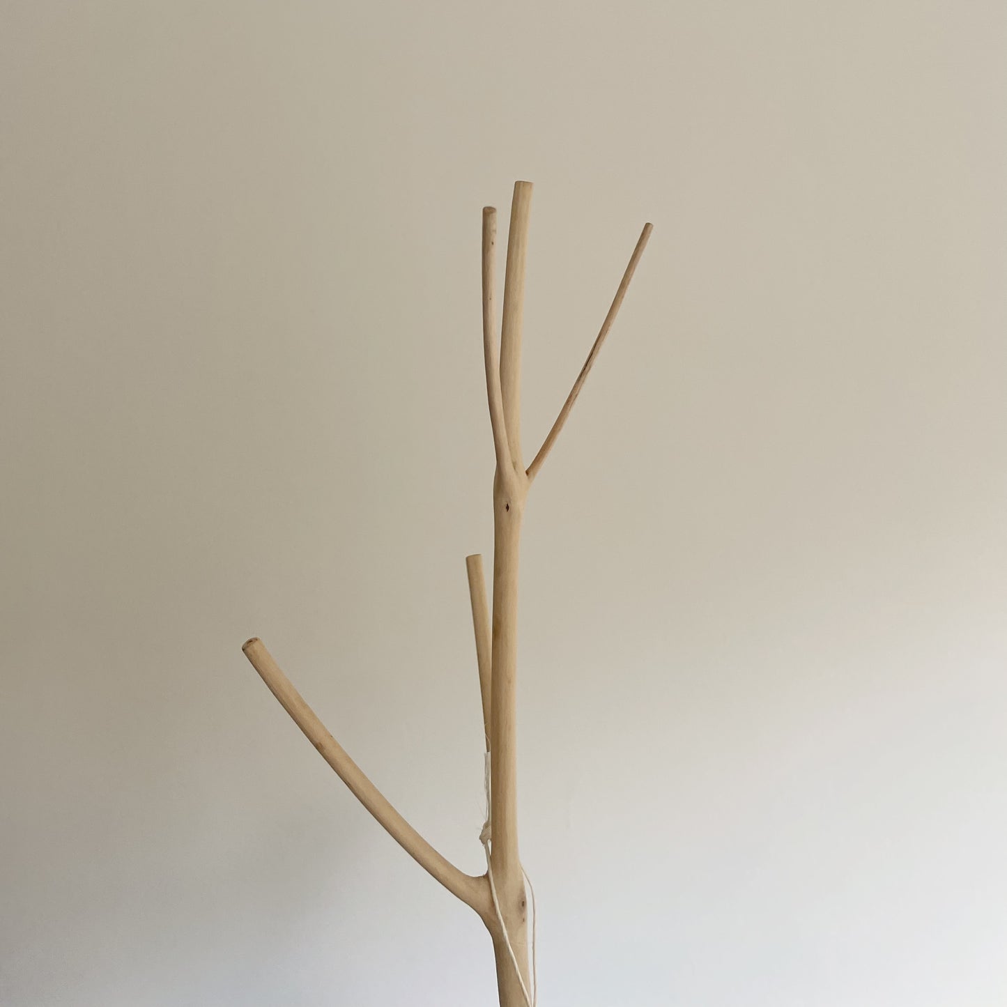Árbol Invernal