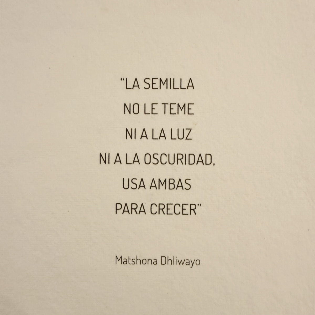 Semilla Enmarcado
