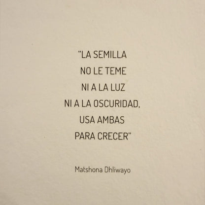 Semilla Enmarcado